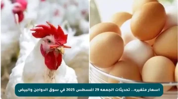 أسعار متغيرة.. تحديثات الجمعة 29 أغسطس 2025 في سوق الدواجن والبيض